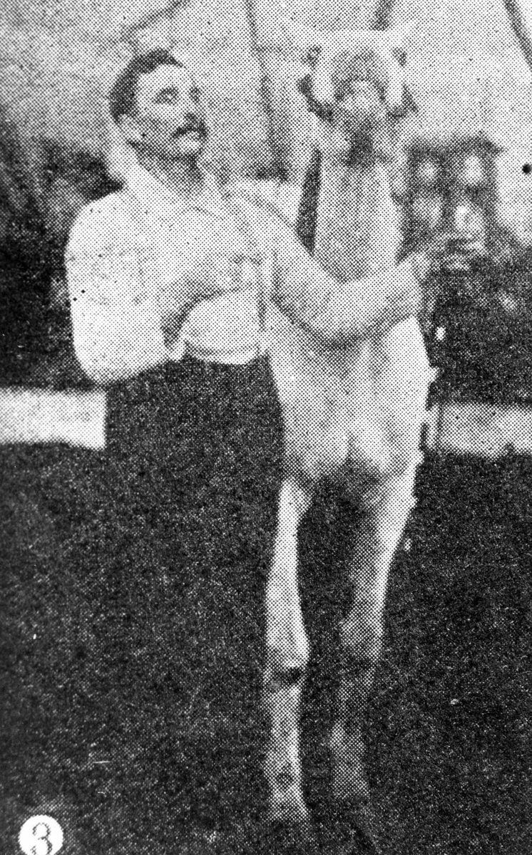 Performer in the ring at Wirth's Circus in Brisbane, 1903