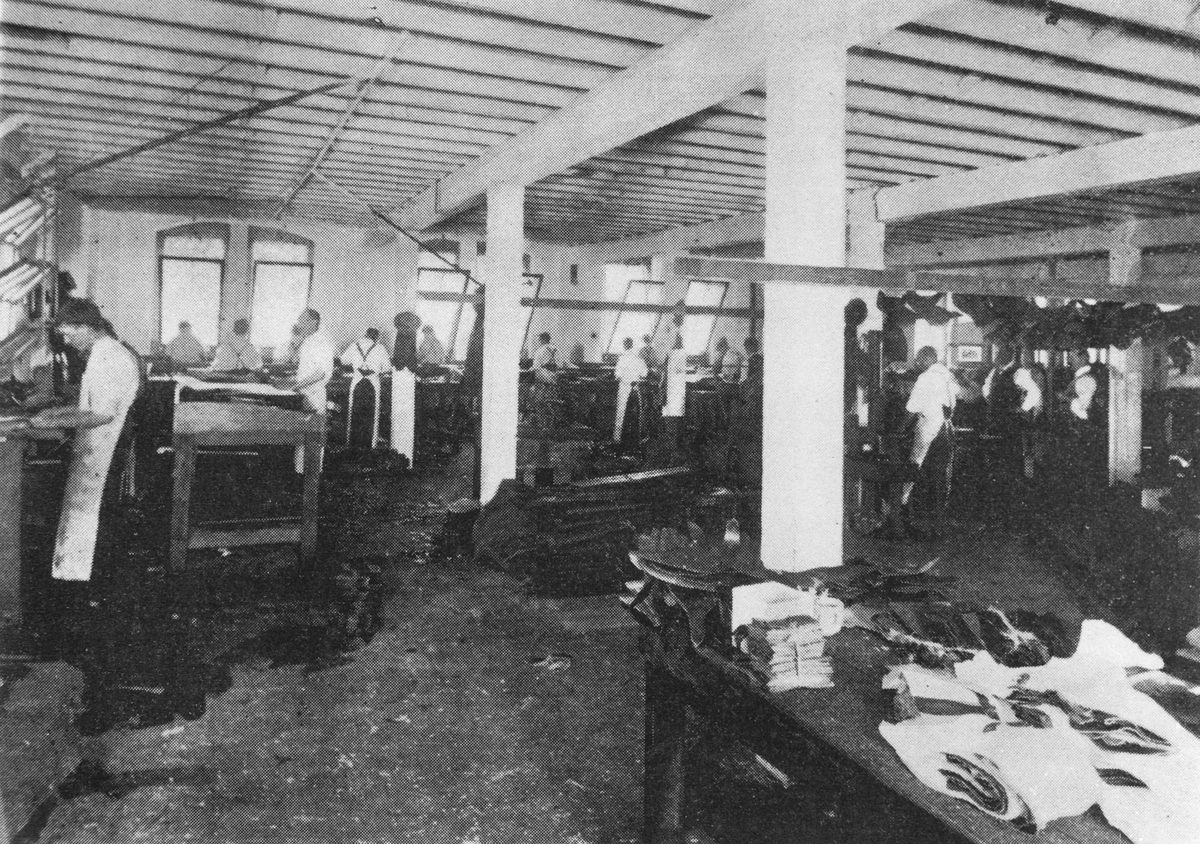 Clicker's department at Davey Halliday & Co, 1904, Brisbane