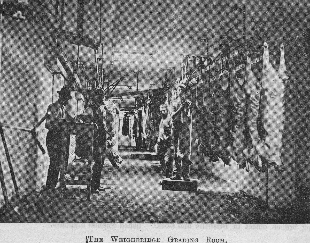 Queensland Meat Export Company, Brisbane, 1896