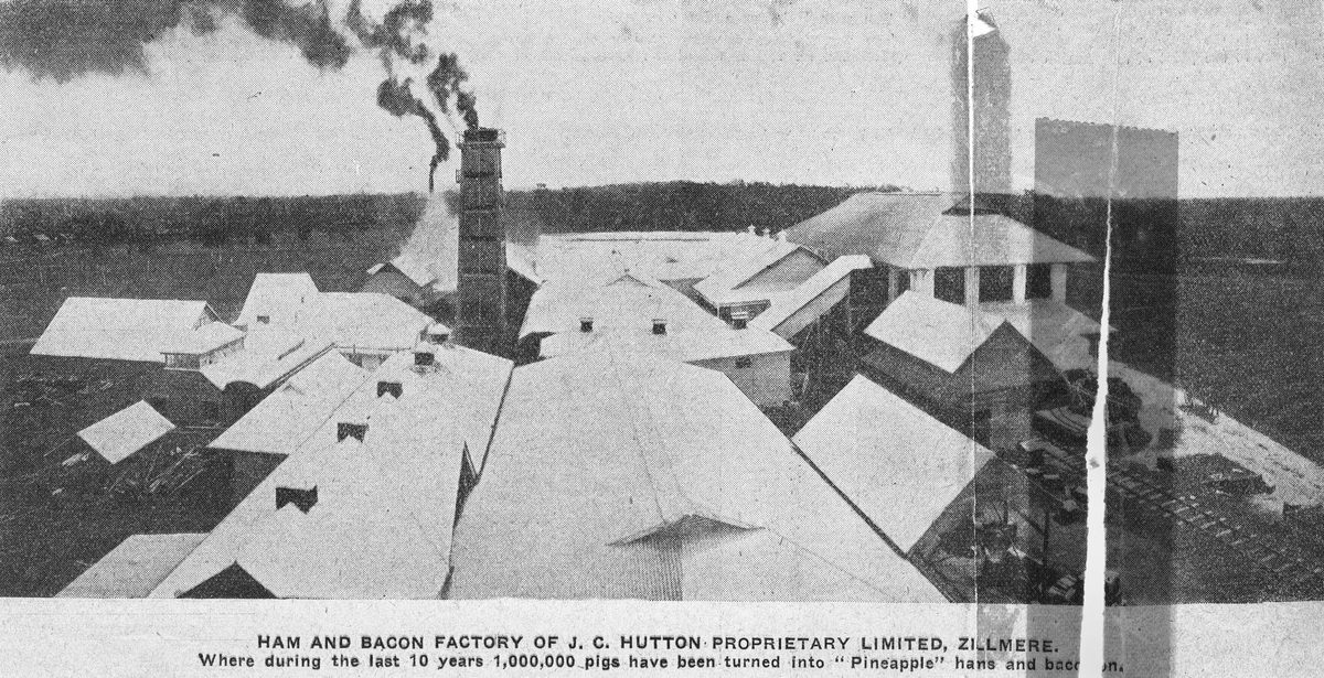 Hutton's Ham and Bacon Factory, 1913, Zillmere