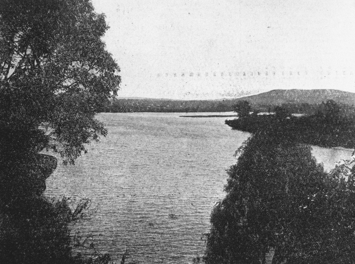 Indooroopilly Reach on the Brisbane River, 1906