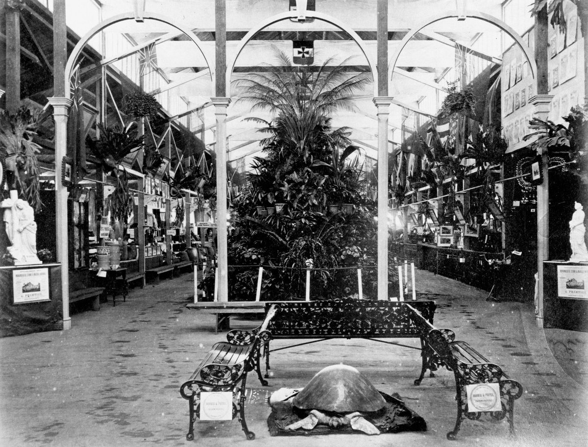 Inside the main pavilion at the second National Association Exhibition in Brisbane, August 1877, Bowen Hills