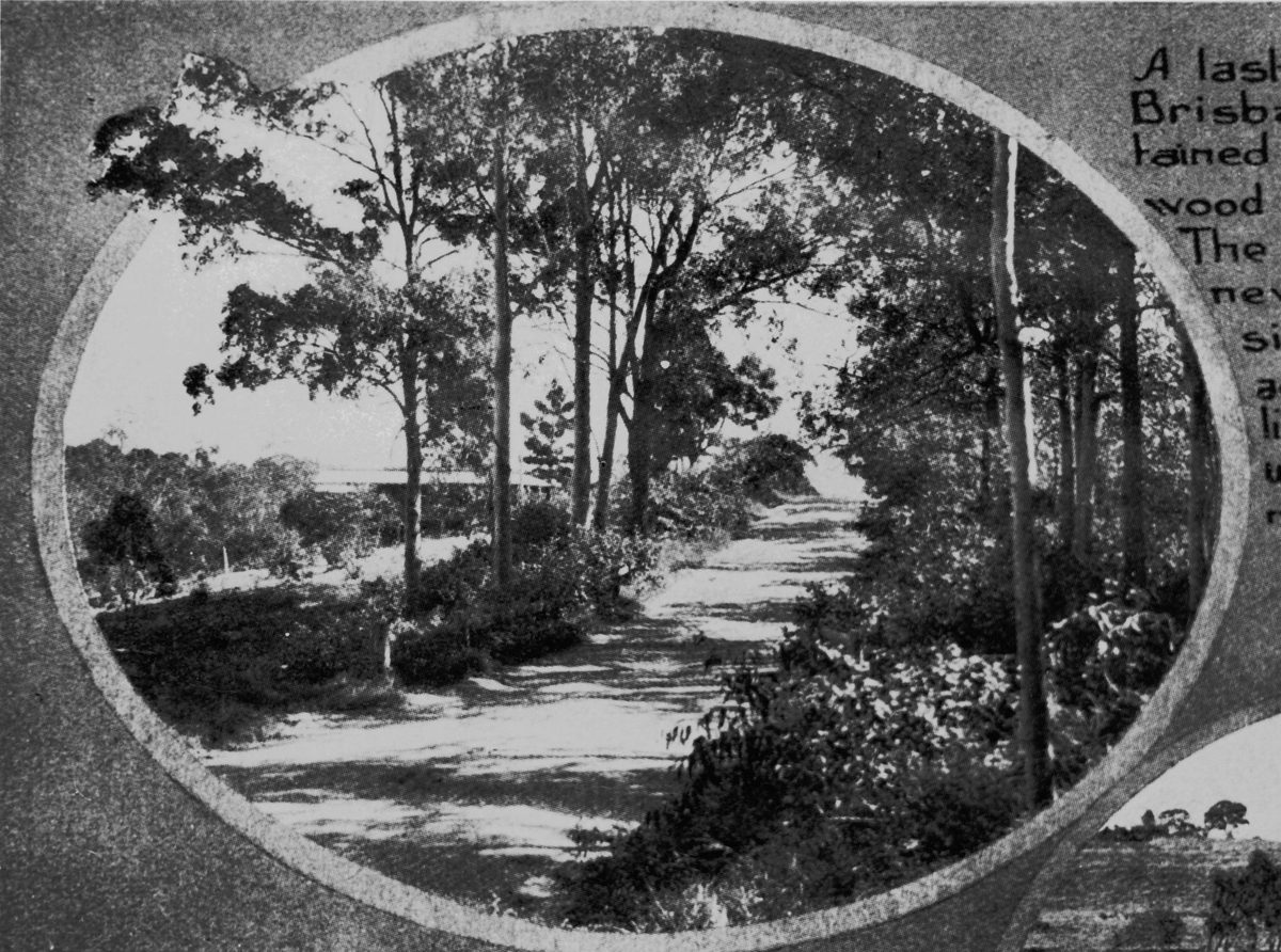 Along the road in Moggill in 1928