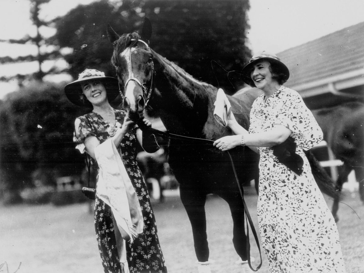 Waikare, who won the Queensland Derby at Ascot, Brisbane, November 1933