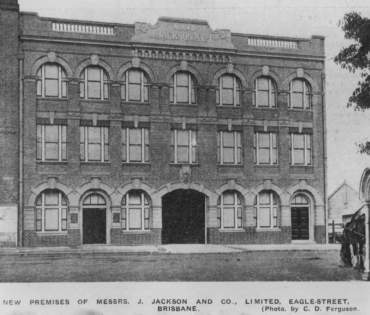 J. Jackson & Co. Ltd on Eagle Street, Brisbane, 1905