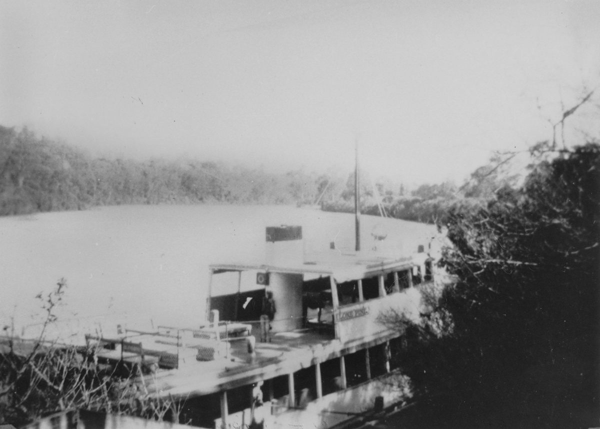 Mirimar cruise boat moored at Lone Pine Sanctuary, Brisbane, 1951, Fig Tree Pocket