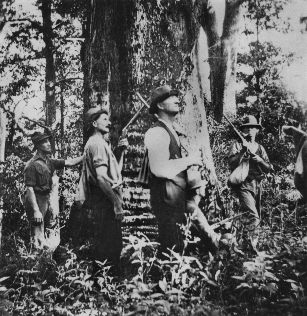 Hunting party on Mt. Glorious, D'Aguilar Ranges, near Brisbane, Queensland, 1920, Mount Glorious