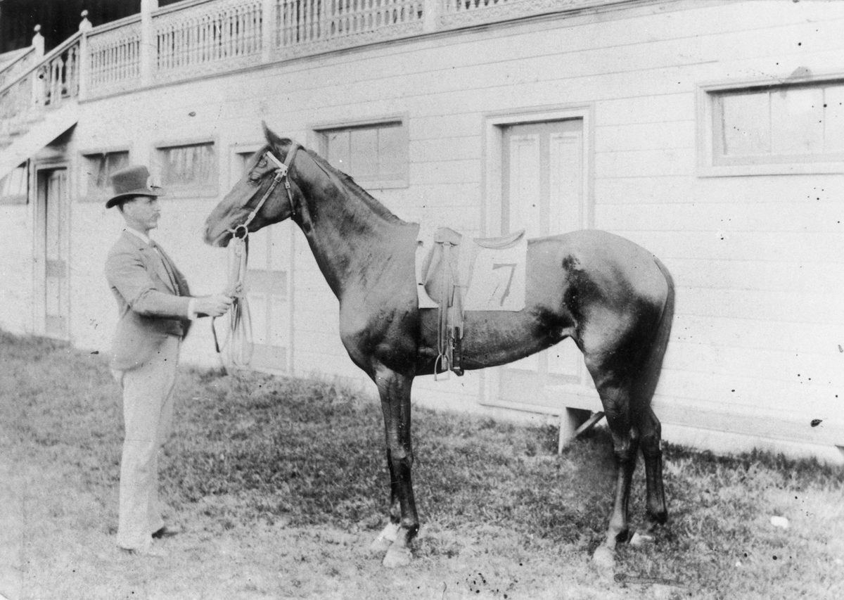 John Verrall with a racehorse at Eagle Farm, Brisbane, 1893