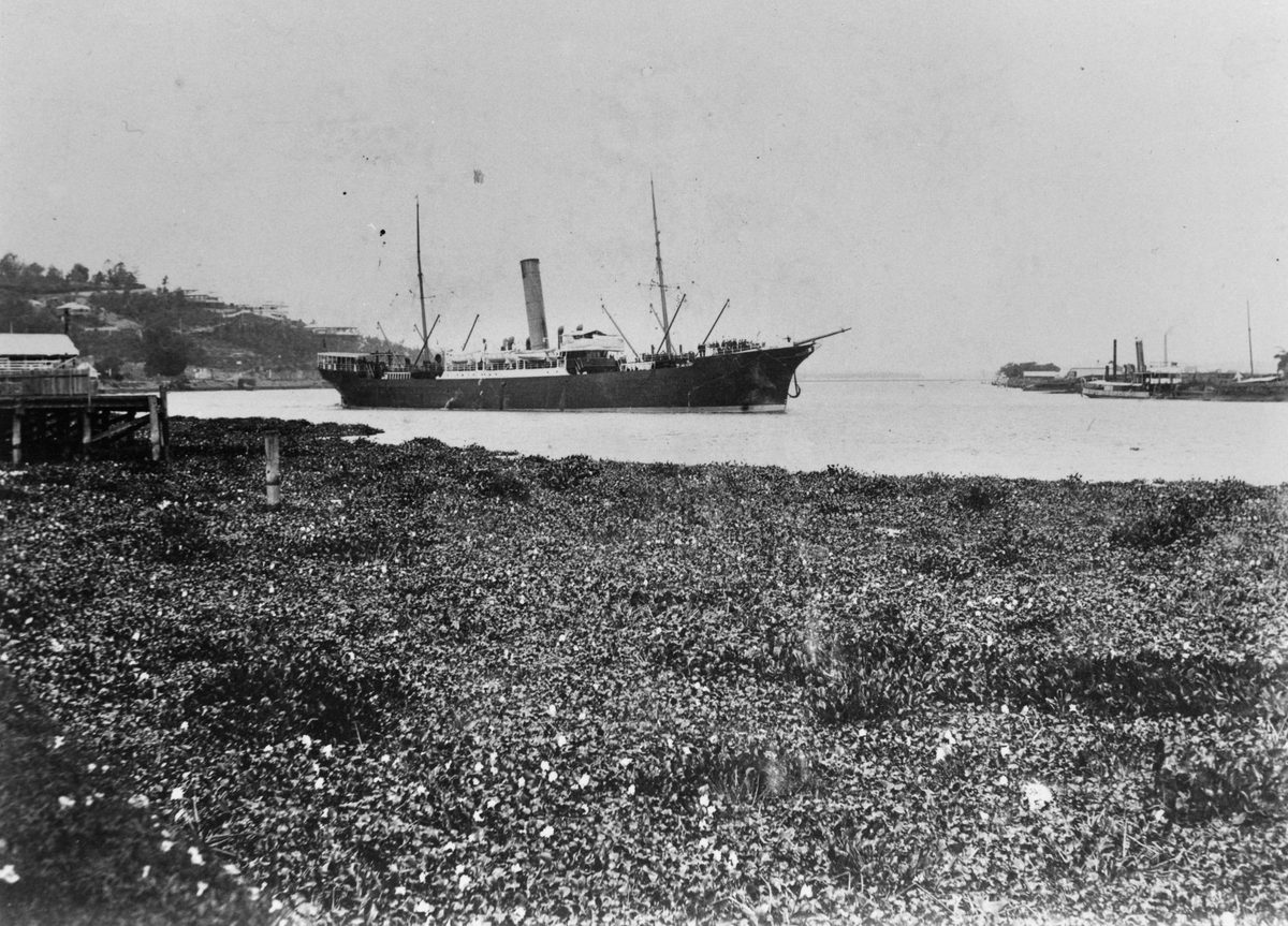 Marloo (ship), Bulimba Point (1908)
