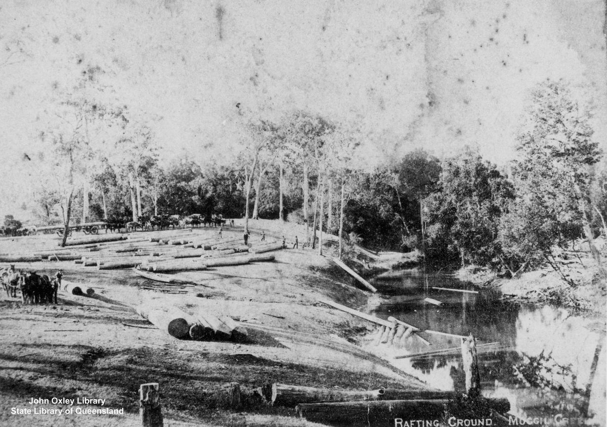 Tree-fellers cutting timber and preparing logs for rafting at Moggill Creek, Brisbane, Kenmore (1898)