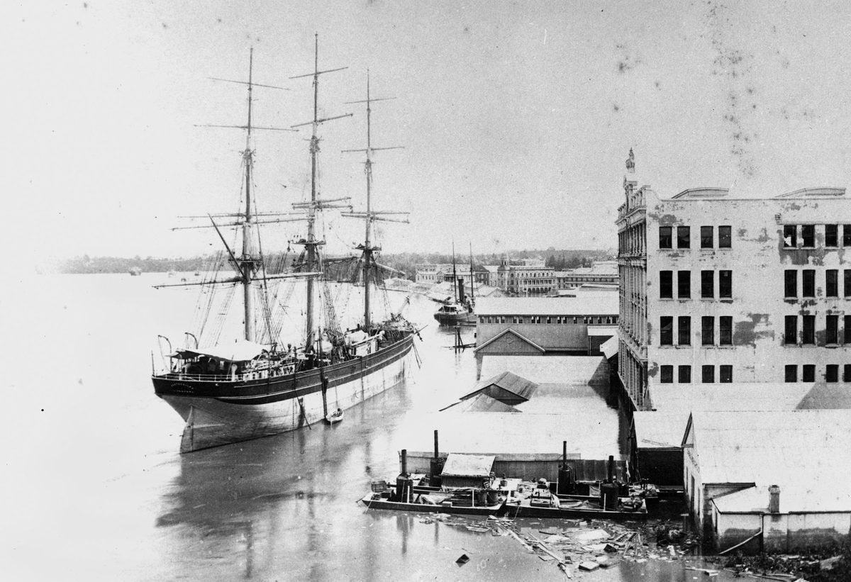 Penthesilea (ship), Brisbane (1893)