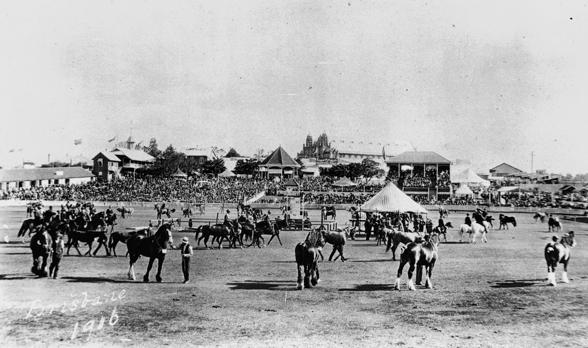 Horses parade in front of a large crowd at the Exhibition Ground, Brisbane, 1916, Bowen Hills
