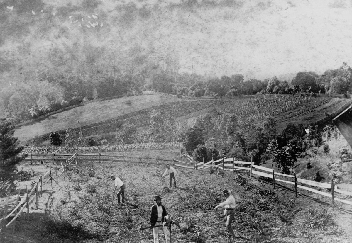 Farm workers at Pullenvale, 1889