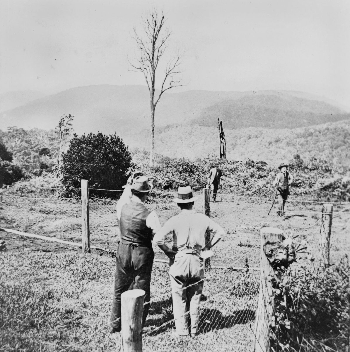 Summit of Mt Glorious looking twoards Mt O'Reilly, Queensland (1920)