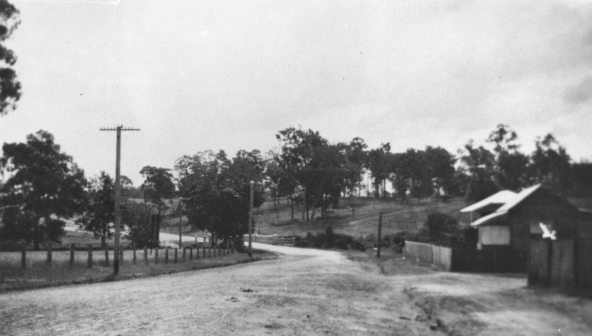 Wardell Street, Ashgrove, Brisbane, 1924