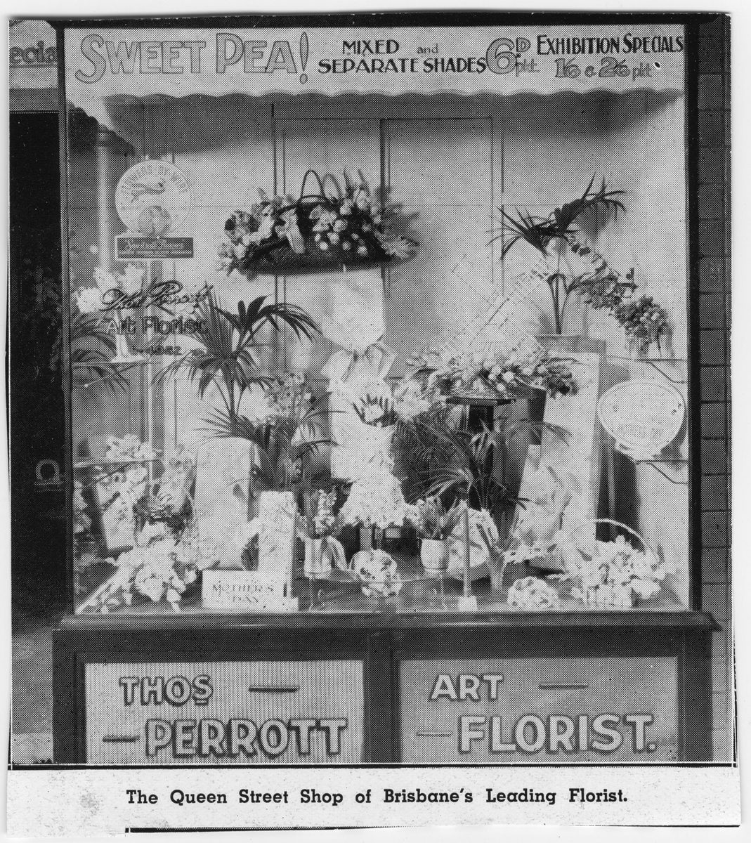 Shop window of Thomas Perrott, florist in Queen Street, Brisbane, 1939, Brisbane City