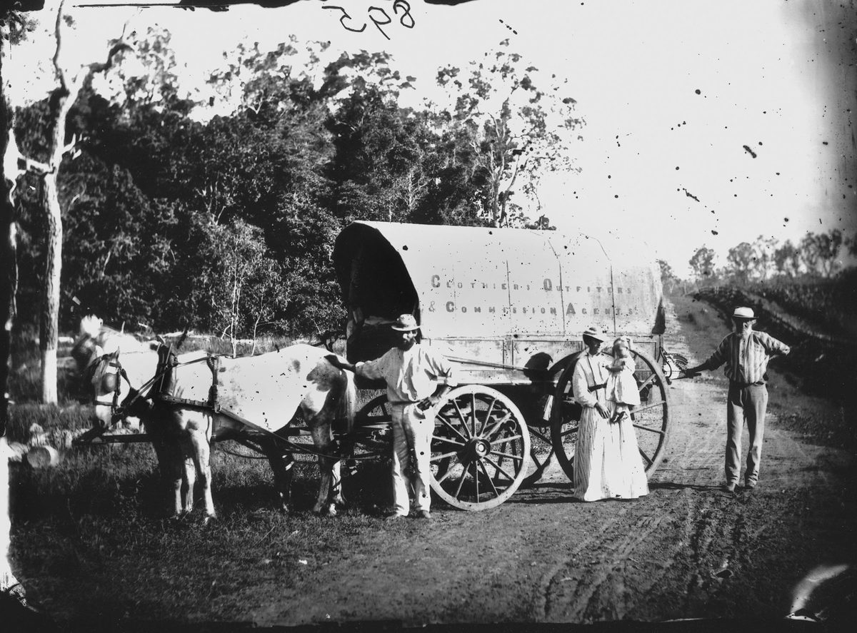 Travelling outfitters wagon on the road between Brisbane and Nerang, near Hanlon's Ferry at Yatala, 1872.