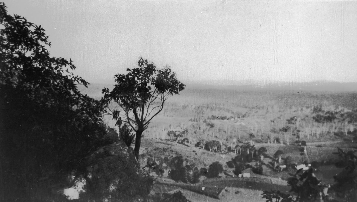 Looking east from Mount Elphinstone, Brookfield, 1932