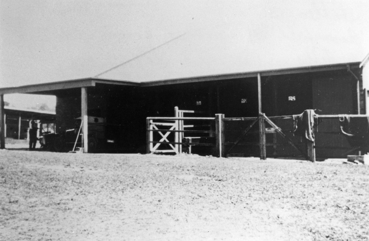 Ravensfield stables in River Road now Coronation Drive, Toowong, 1911