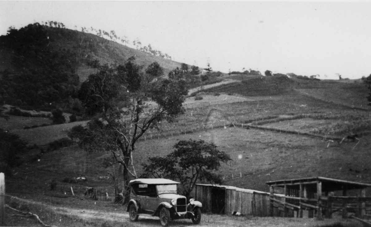 View of Mount Elphinstone from Brookfield, 1932