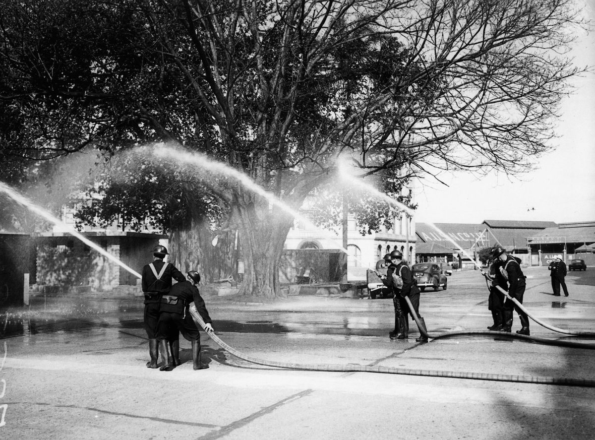 Firemen testing the water pressure in the mains, Brisbane, 1942