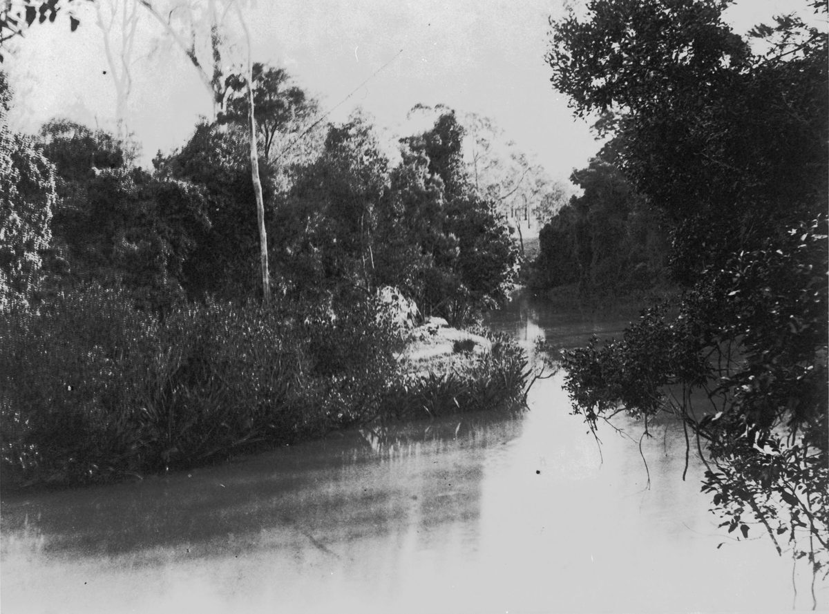 Moggill Creek, Brookfield, 1890