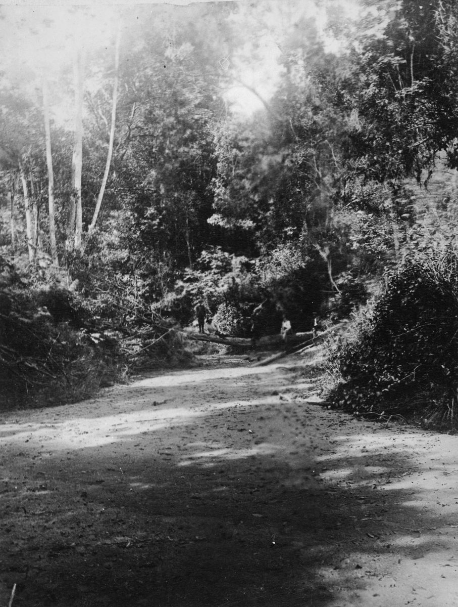 Woogaroo Creek view, Goodna, 1890