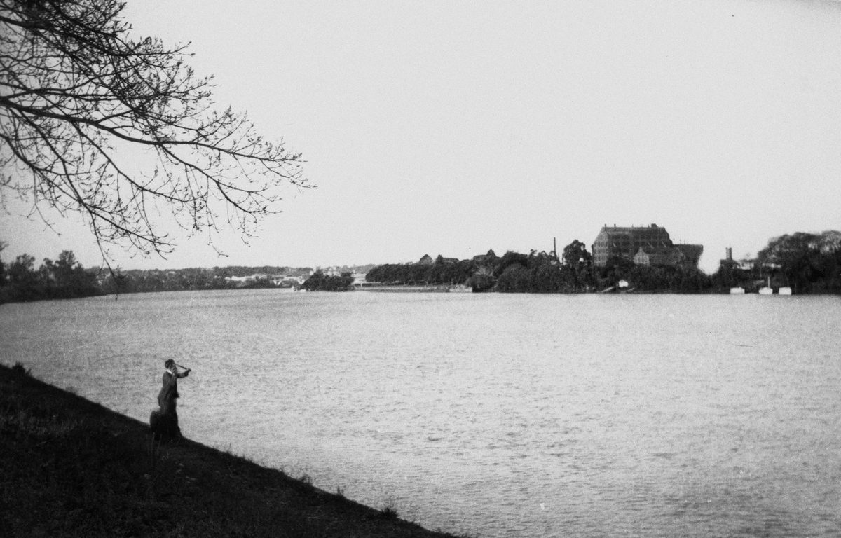 Fishing from the northern bank of the Brisbane River at Toowong, along Milton Reach, Brisbane, 1948
