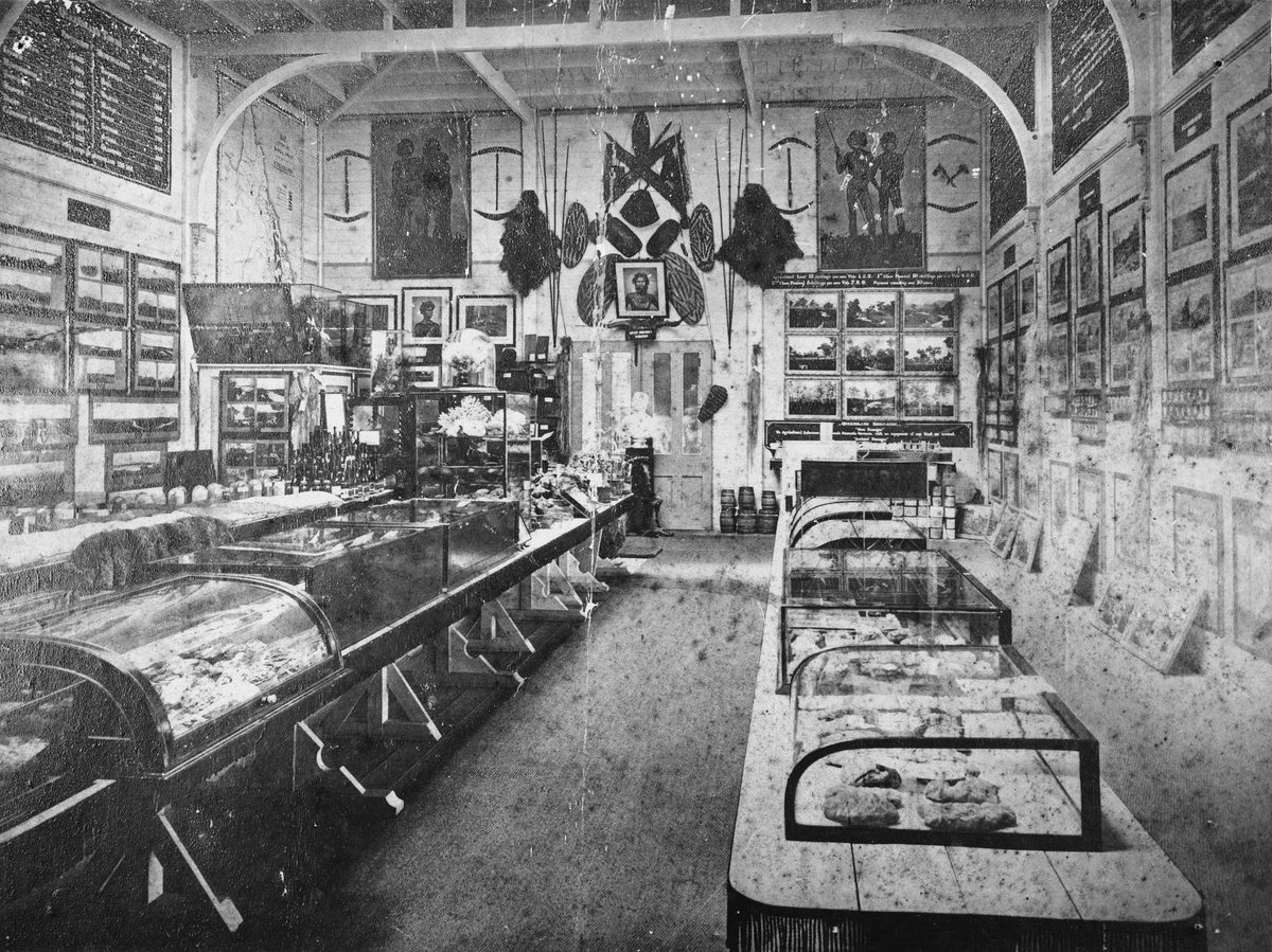 Inside Queensland's first natural history museum, 1872, Brisbane