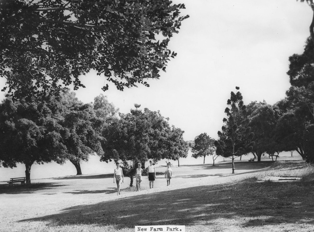Trees in New Farm Park, Brisbane, 1950