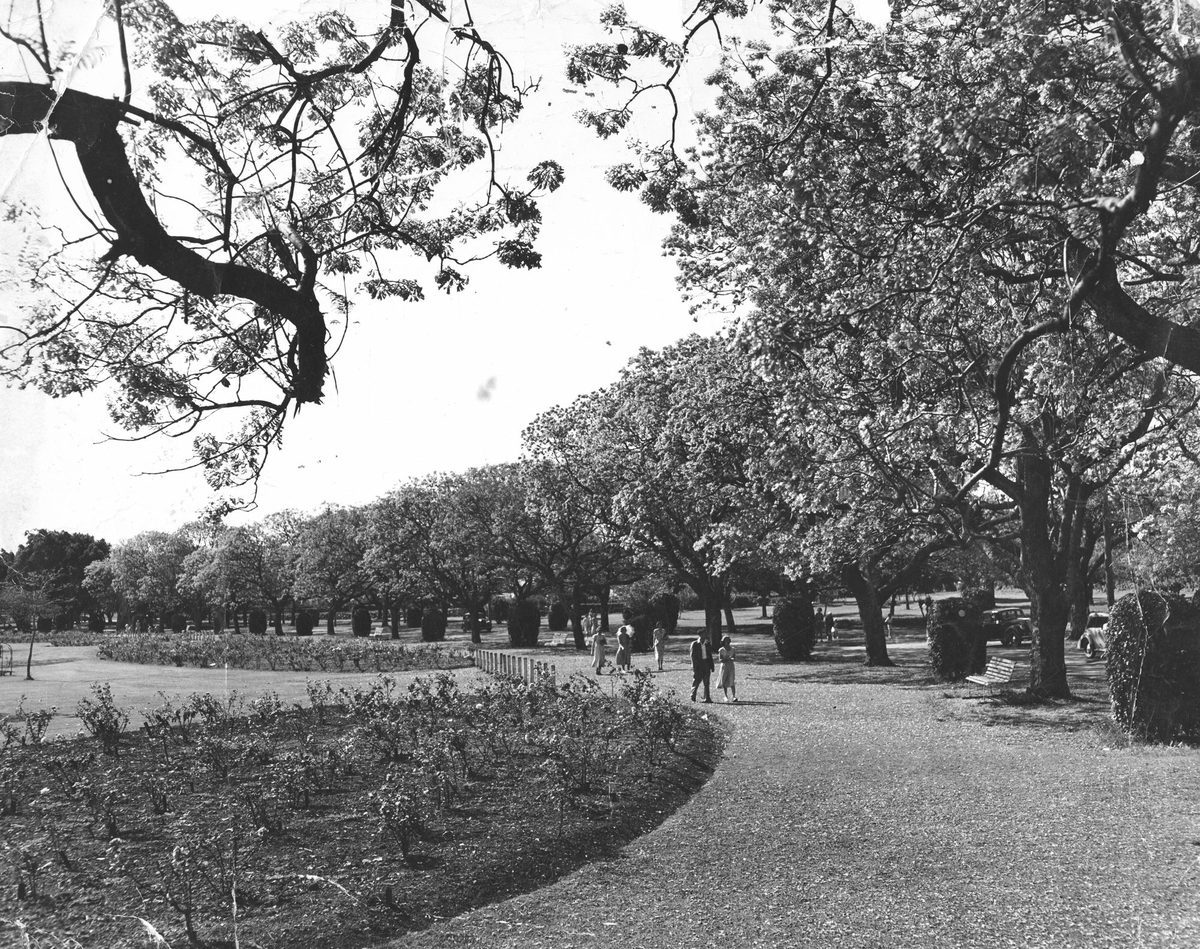 People strolling in New Farm Park, Brisbane, 1953