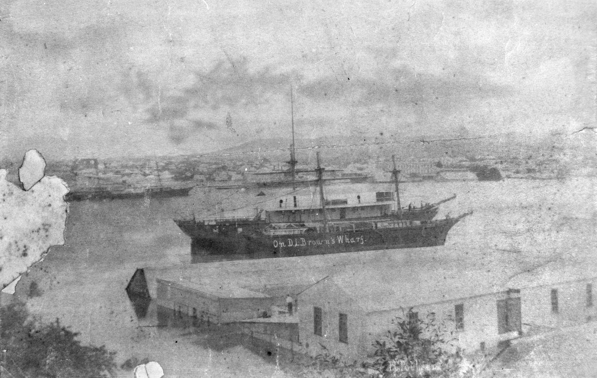 Ships at D. L. Brown's Wharf viewed from Alice Street, Brisbane, during the 1890 flood, Brisbane City