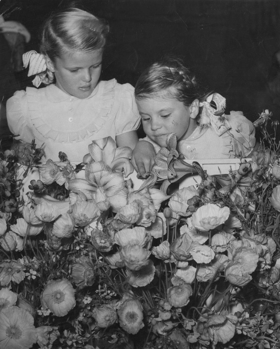 Children examining flowers at the Chelsea Flower Show in Brisbane, 1954