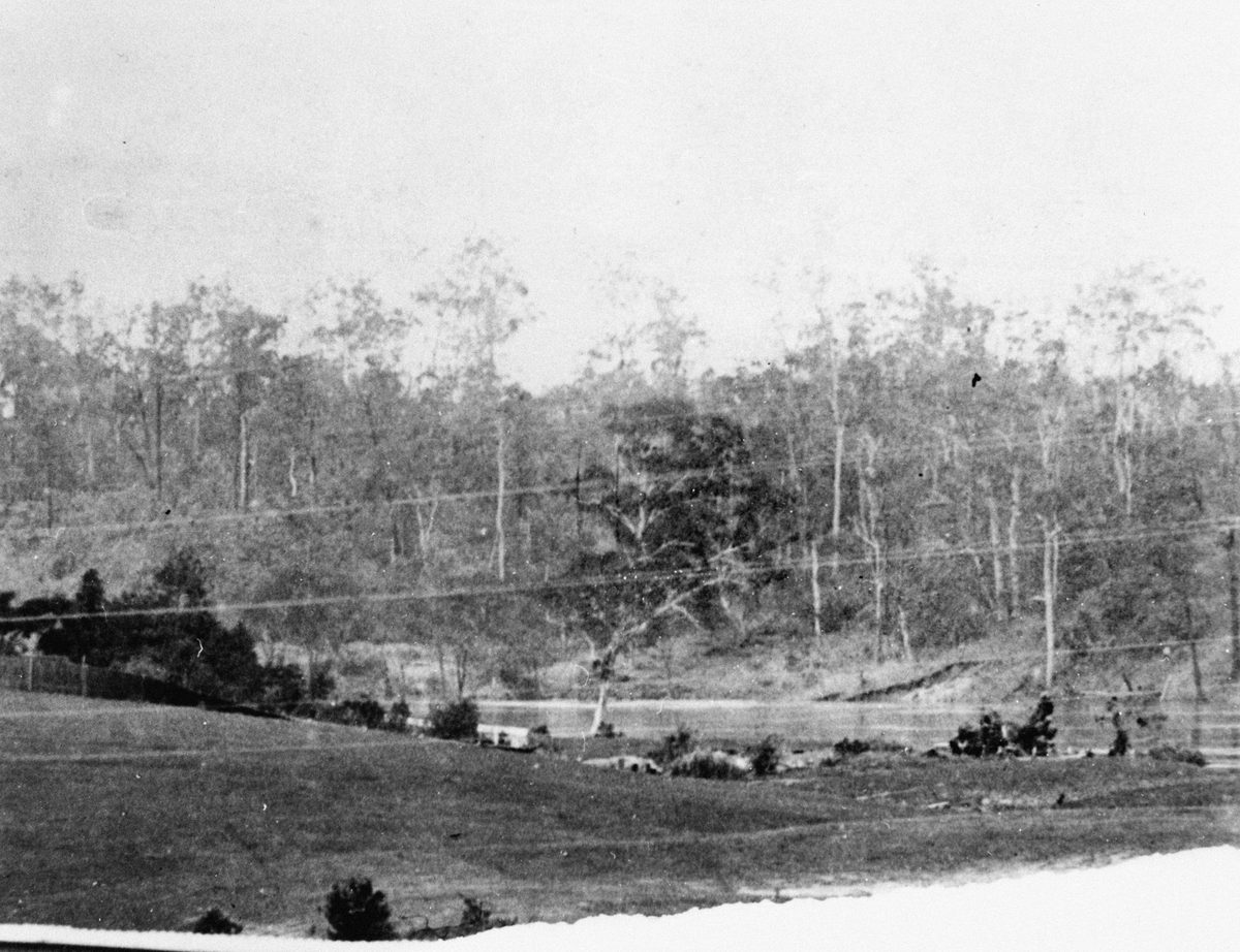 Indooroopilly Reach, Brisbane River, 1893
