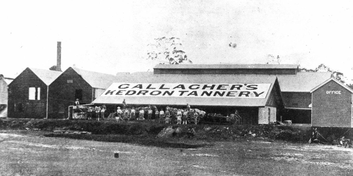 Gallagher's Kedron Tannery, Brisbane, 1902