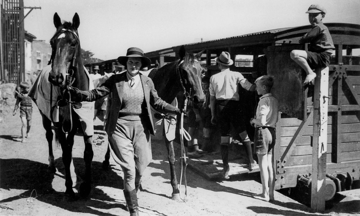 Thoroughbreds ready for action at the Royal National Association Exhibition in Brisbane, 1940, Bowen Hills