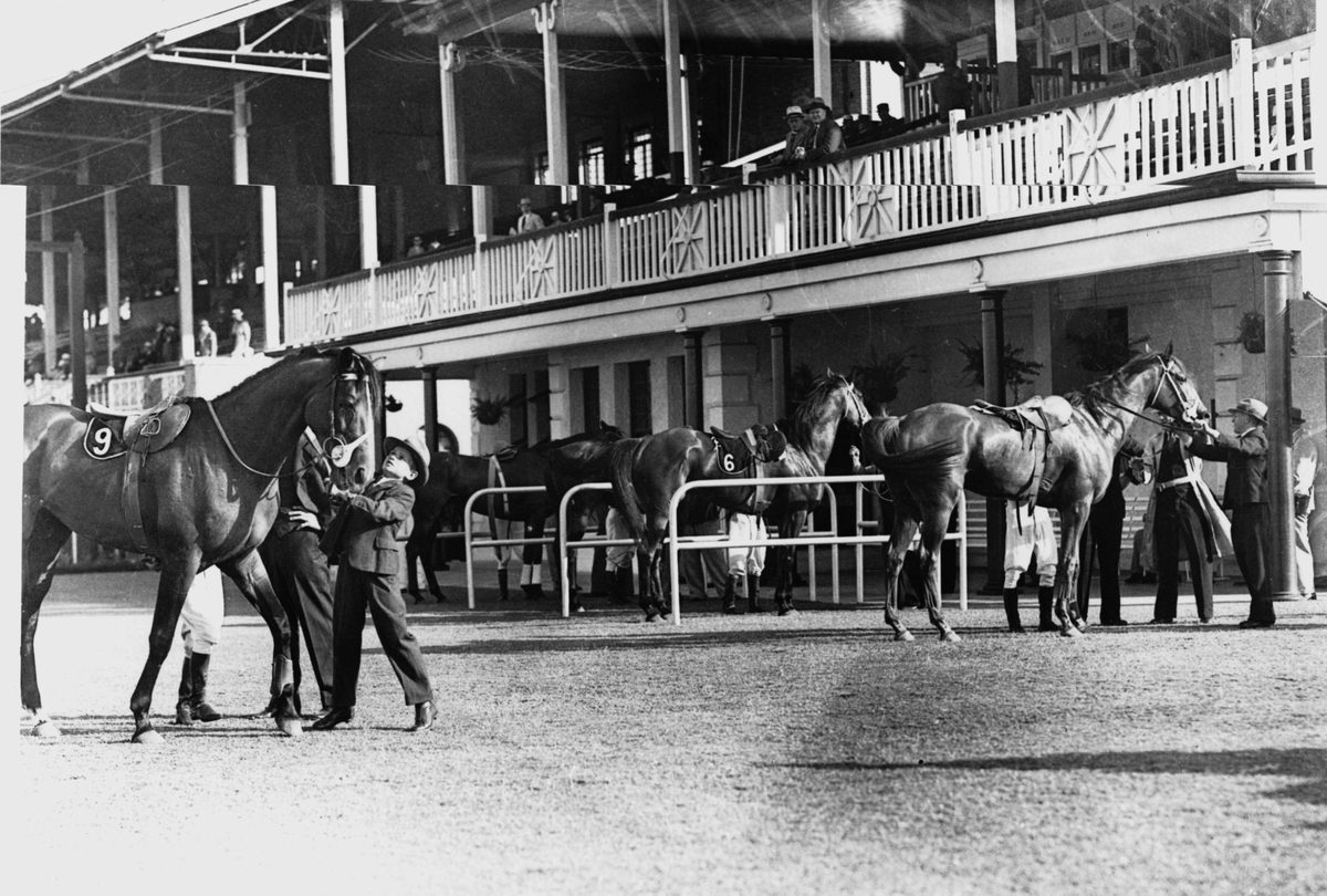 Horses at the Windsor Handicap? at Ascot, Brisbane, 1938