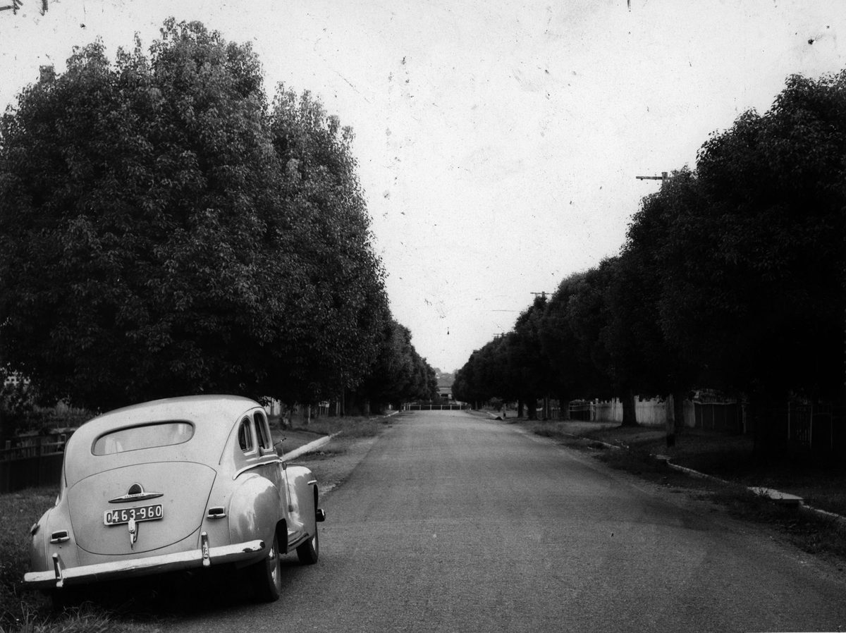Laurel Avenue, Chelmer, Brisbane, 1949
