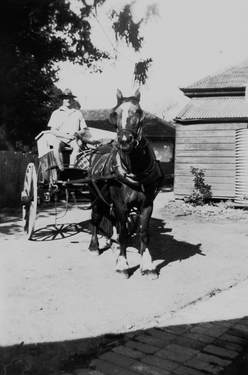 Bakery delivery man, Tom Waller, of Toowong, Brisbane, 1951