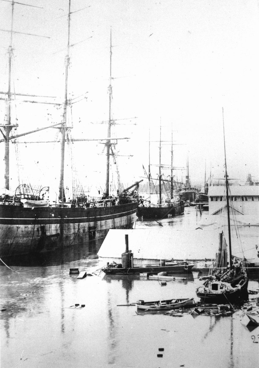 Penthesilea (ship), Brisbane (1893)