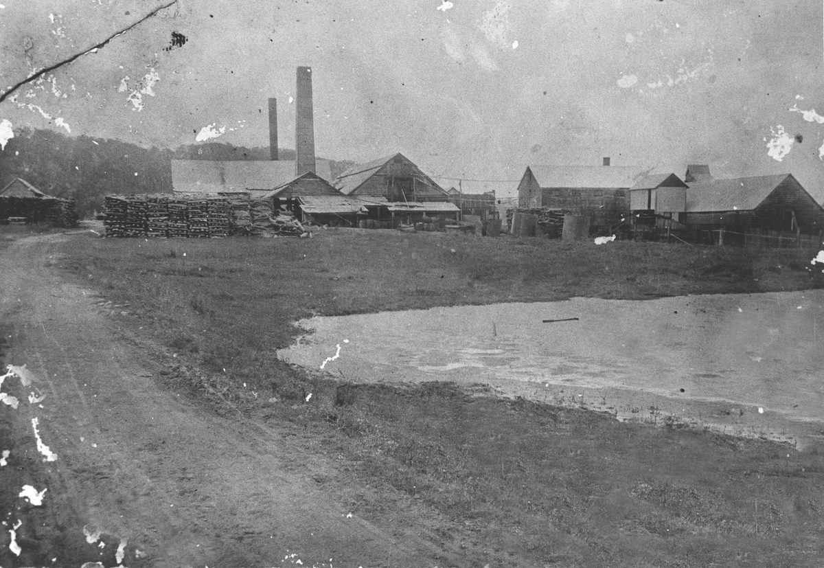 Sugar mill and distillery in Beenleigh, 1908