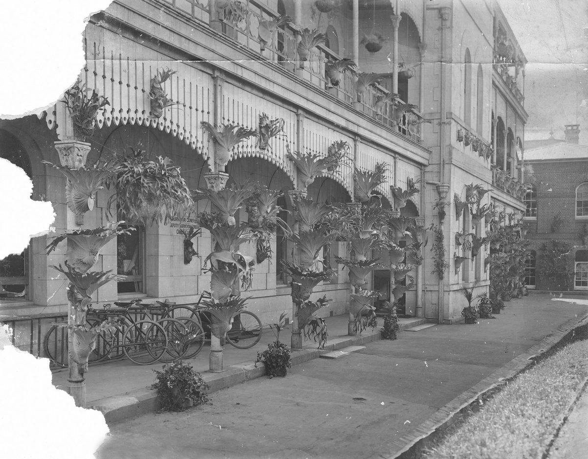 Bicycles parked outside the Lands and Works Office, 1904, Brisbane