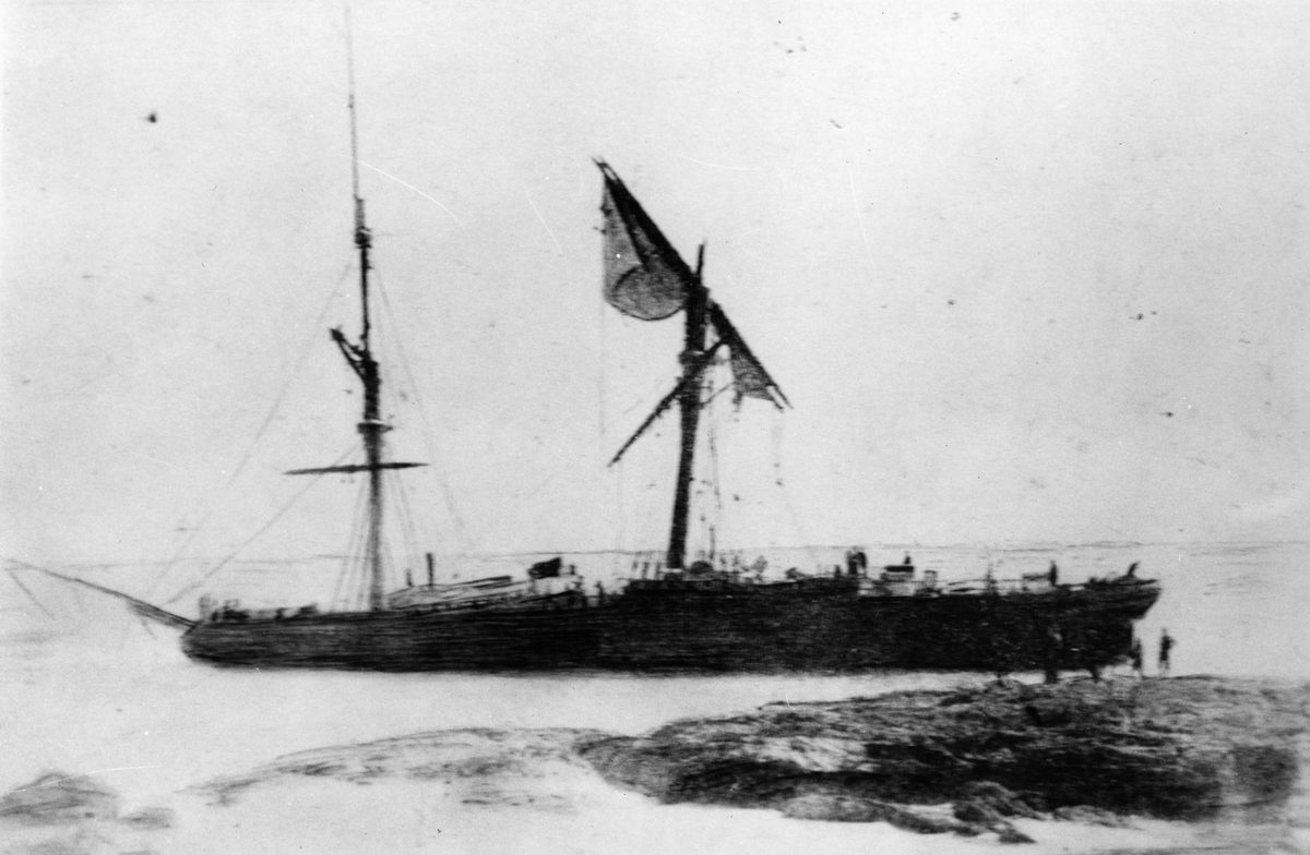Young Australia breaking up on Moreton Island, Queensland (1872)