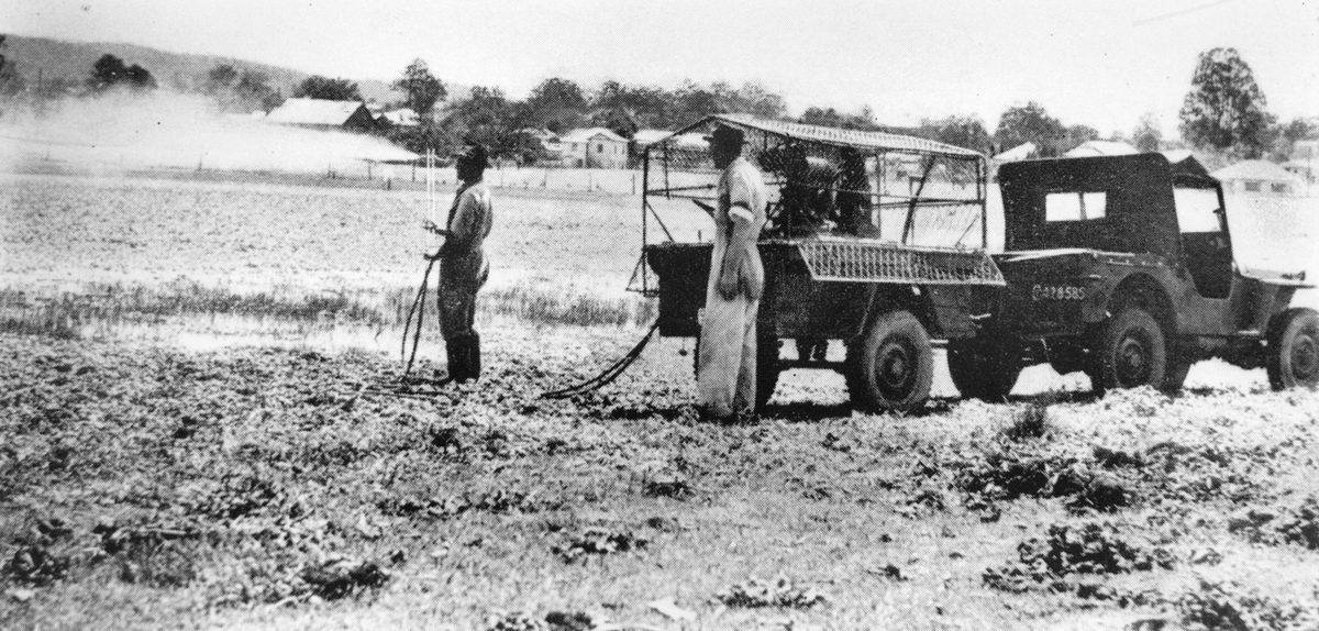 Cloud spraying for mosquitos at Norman Park, 1947