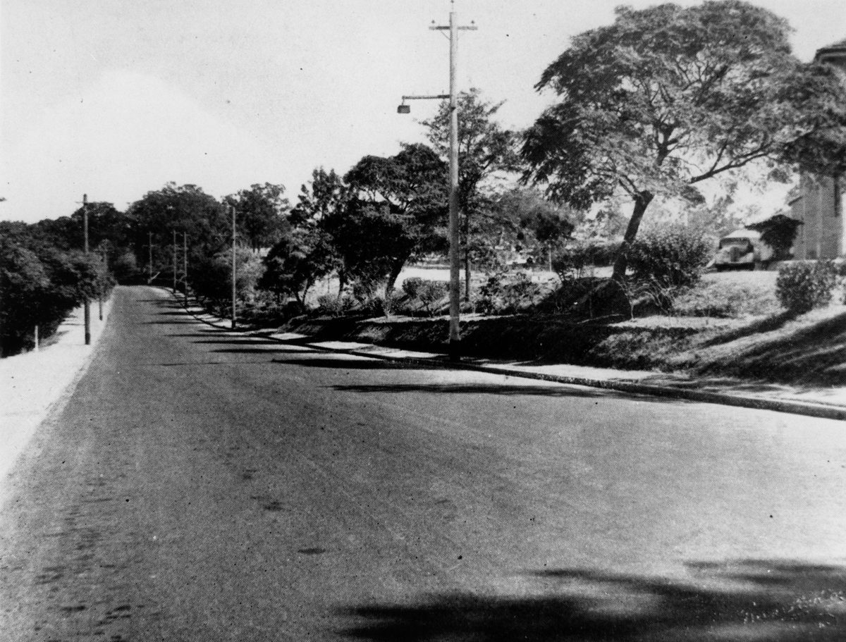 Tree-lined Gilchrist Avenue in Herston, Brisbane, 1946