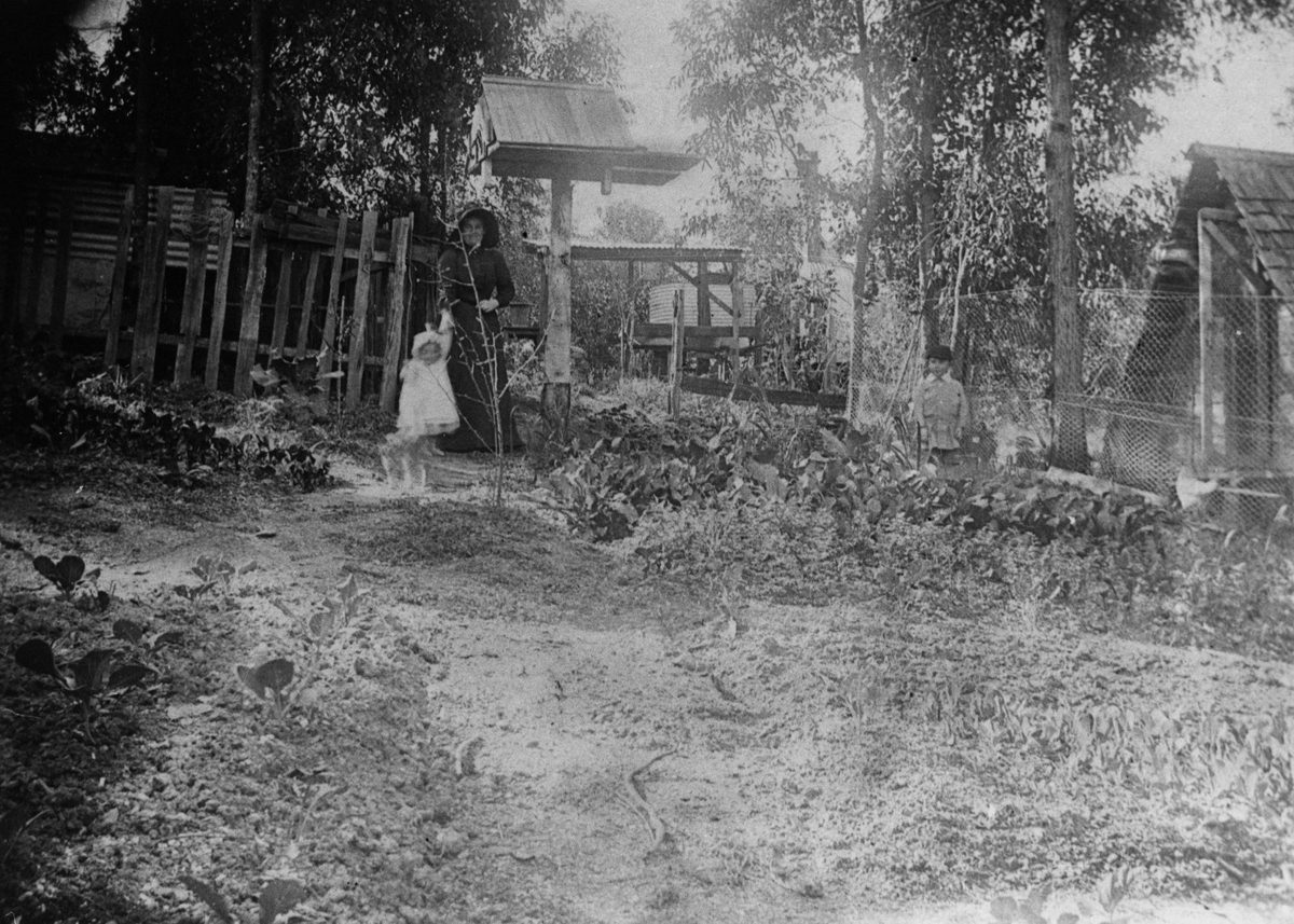 Children in the kitchen garden at the back of the Toowong residence, Ecksleigh, 1901
