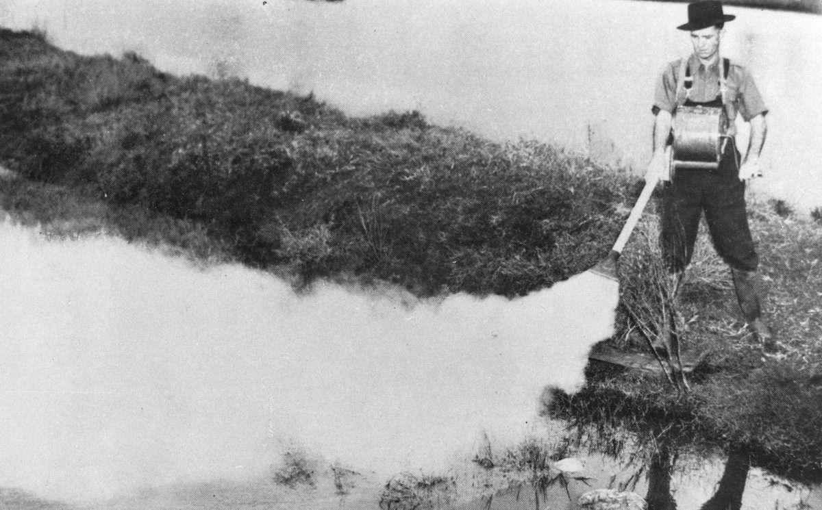 Council worker spraying for mosquitos, Brisbane, 1949