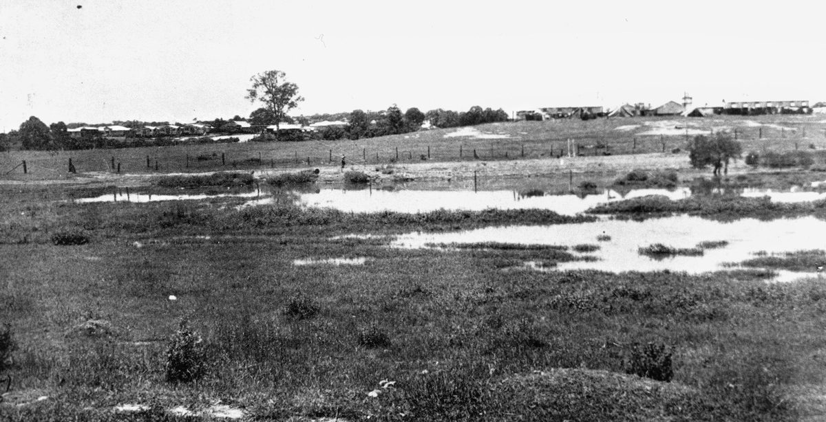 Swamp reclamation in the Kalinga district, 1943