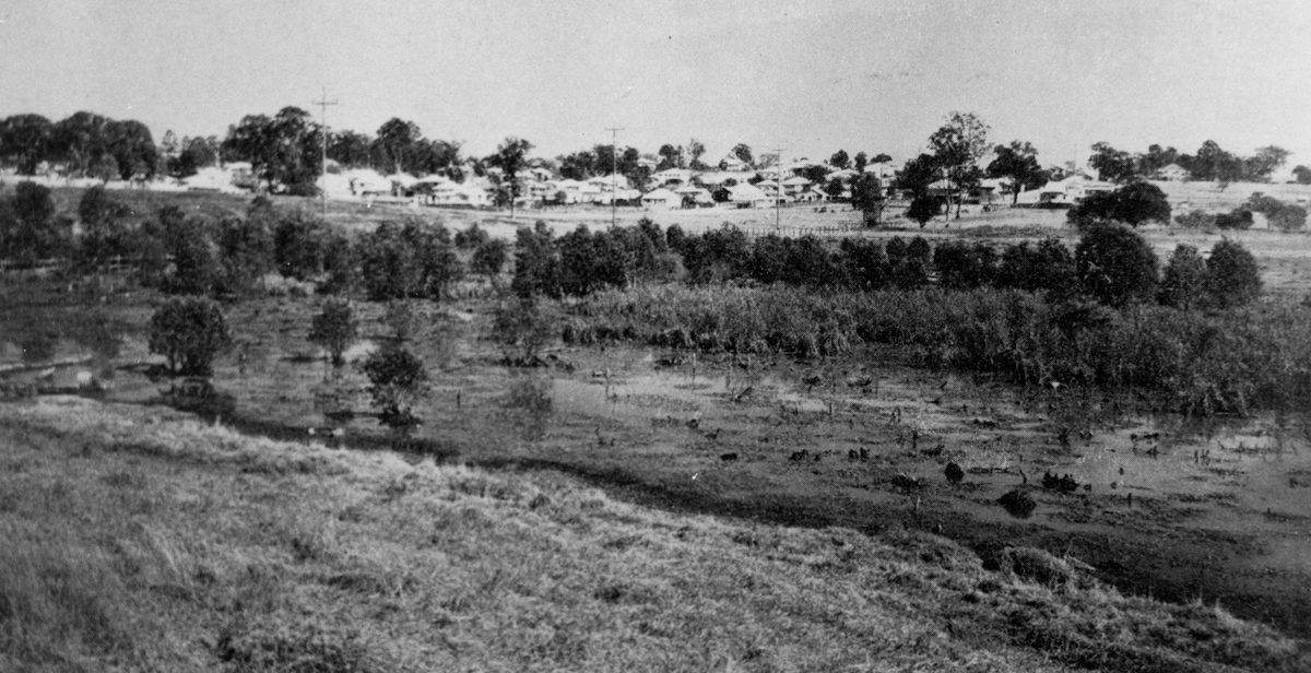 Swampy land at Fairfield, 1943